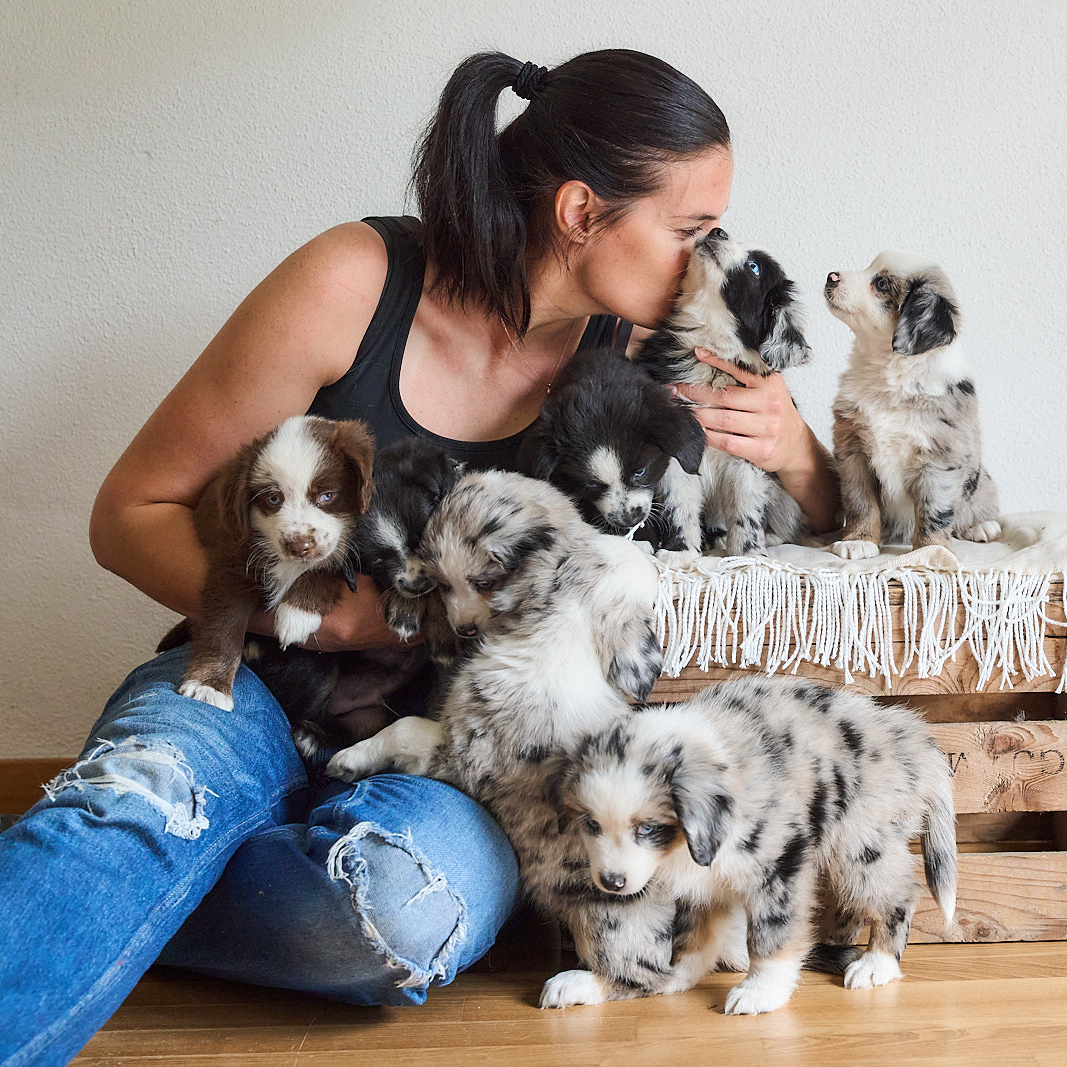 Wurfplanung Frühjahr 2025