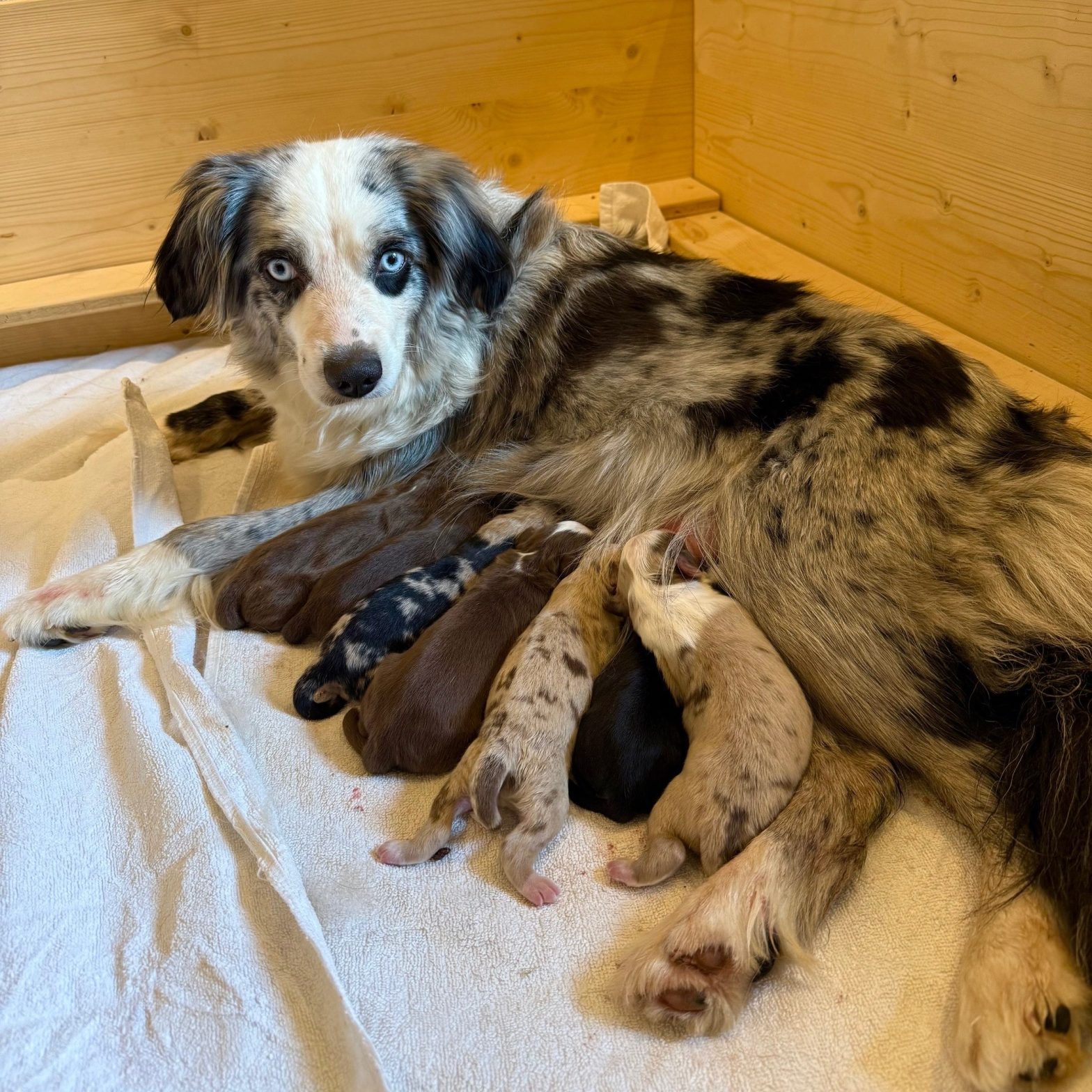 🐾 Unsere süßen Wunder sind gelandet!&nbsp;🍬✨
